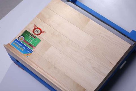 校企共贏，運(yùn)動(dòng)木地板產(chǎn)業(yè)新行標(biāo)