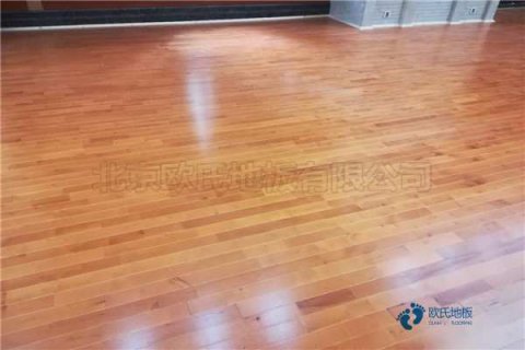 運(yùn)動體育木地板哪個牌子更好