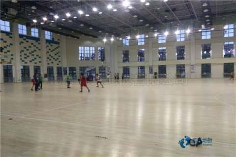 中國體育運動木地板行業(yè)發(fā)展現(xiàn)狀