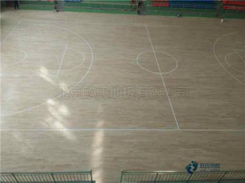運動木地板運動系統(tǒng)您了解多少