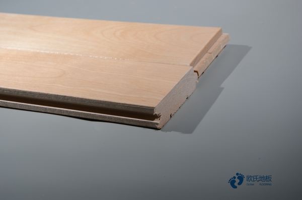 國(guó)內(nèi)運(yùn)動(dòng)木地板廠家2