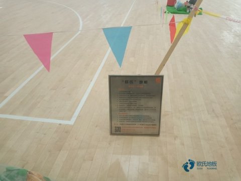 體育運動木地板市場開發(fā)